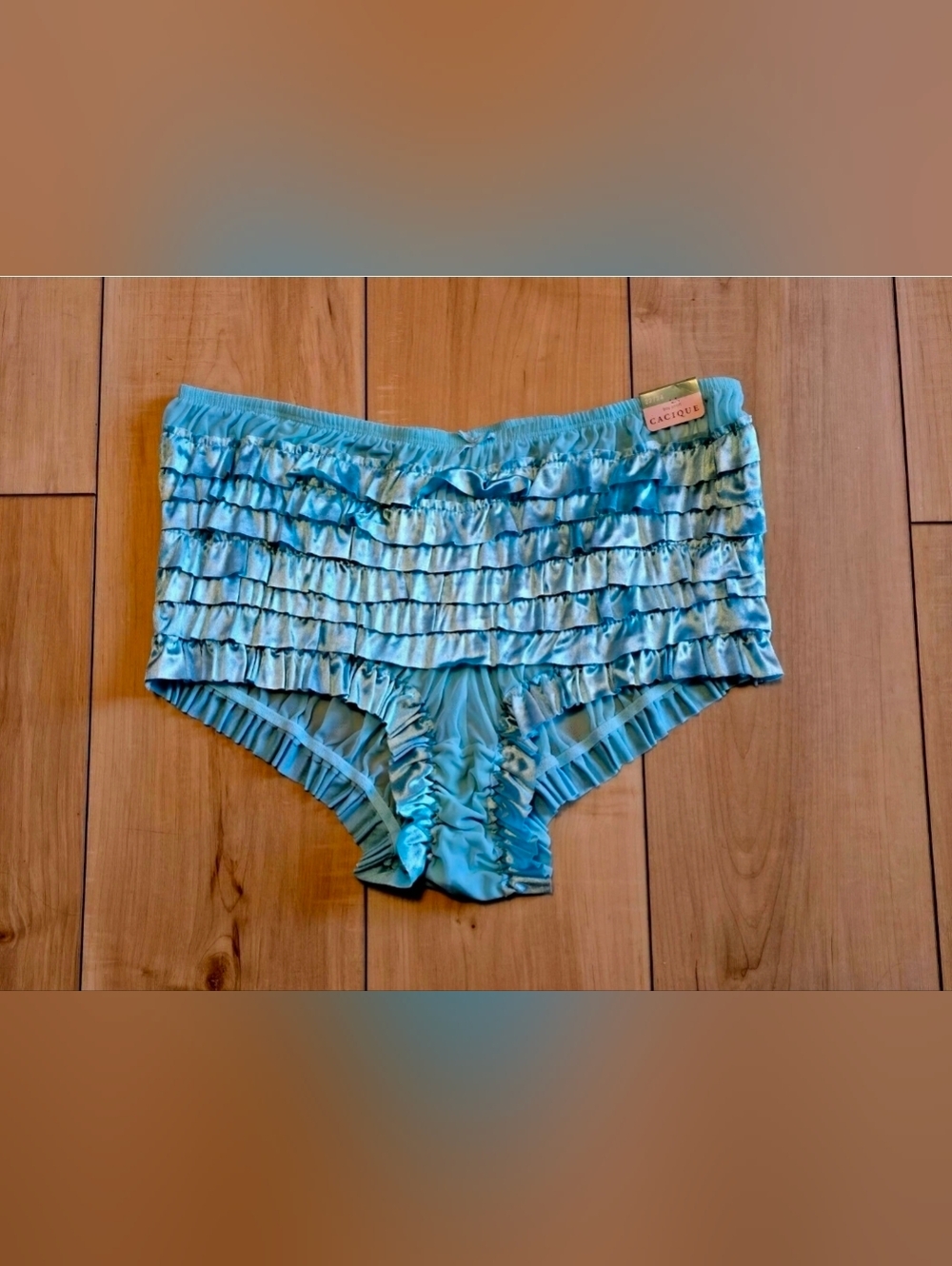 NWT OS Vintage RUFFLED Rumba CACIQUE Satin Sheer Boy Short panties sz 22/24